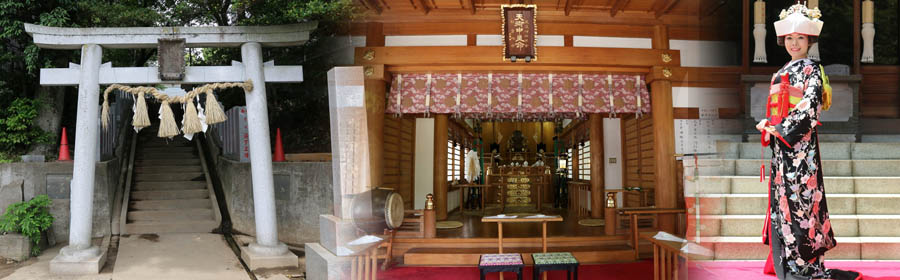 写真:我孫子総鎮守柴崎神社の鳥居・拝殿・黒引き袖の花嫁